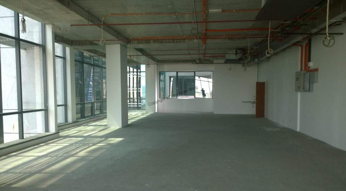 The Horizon - Unit 1