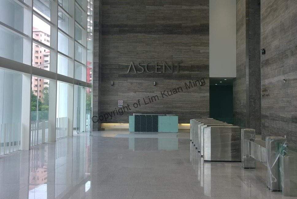 The Ascent - Main Lobby 2